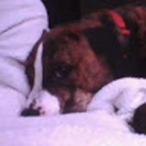 Meet your Posher, Bryanna